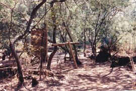 1995 School Tour to Gwalagwala