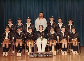 1985 Cricket Ter Horst team photos. A, B and C teams