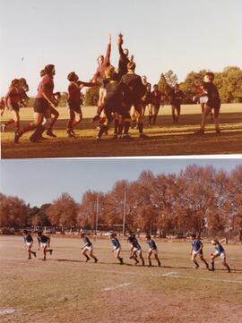 1983 Rugby teams