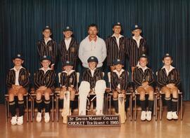 1985 Cricket Ter Horst team photos. A, B and C teams