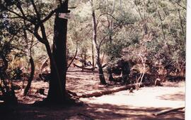 1995 School Tour to Gwalagwala