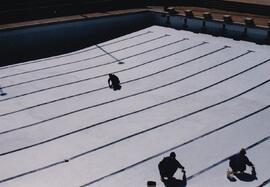 1980 Painting the Pool