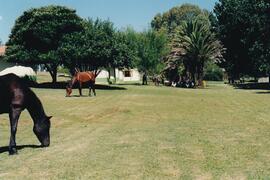 2001 Prep School Tour on the Vaal