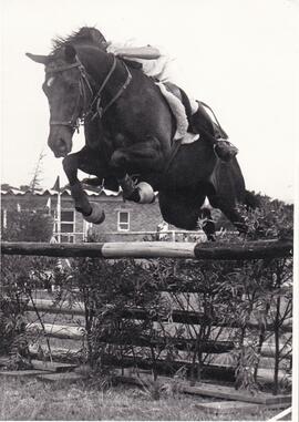 1978 Horse and rider at a jump. Photo taken at Honeydew on 8 January 1978