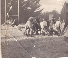 1950 St David's Scrum Half (S Risi) in Action. St David's(13) vs Forest High (12). Photography co...