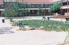 1999 Amphitheatre and Quad on Completion
