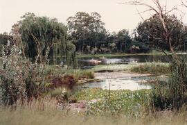 1994 Standard 5 Leadership Camp at Buffelskloof