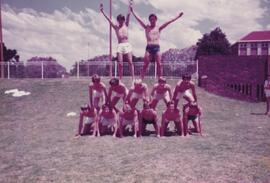 1983 St David's Boys