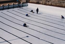 1980 Painting the Pool