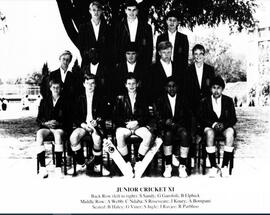 1990 Junior Cricket Team